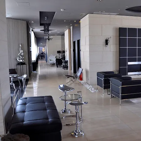 艺术画廊酒店 酒店 特里卡拉