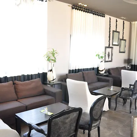 艺术画廊酒店 特里卡拉