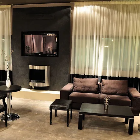 艺术画廊酒店 酒店 特里卡拉