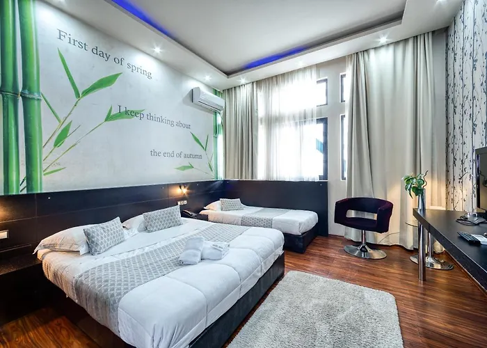 酒店 艺术画廊酒店 3*