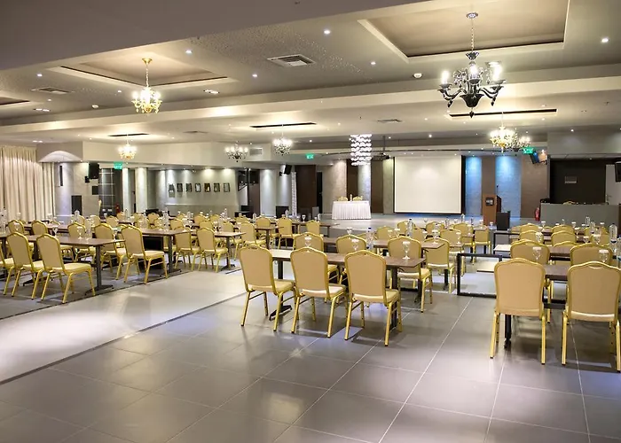 酒店 艺术画廊酒店 特里卡拉